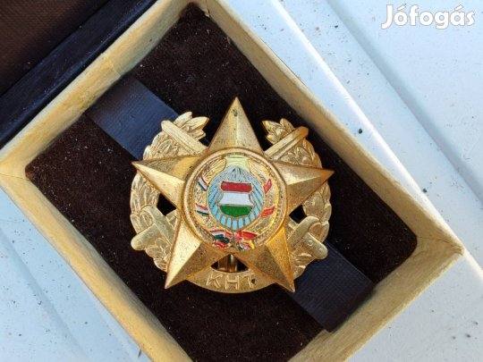 Veterán katonai aranykoszorús tízpróba jelvény antik 