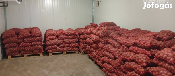 Vető méretű Balatoni Rózsa burgonya