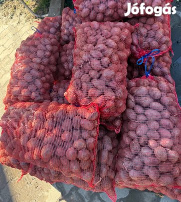 Vető méretű burgonya