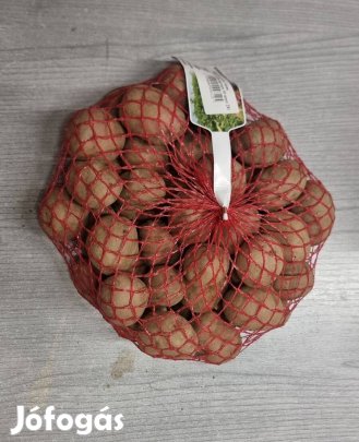 Vetőburgonya Balatoni rózsa