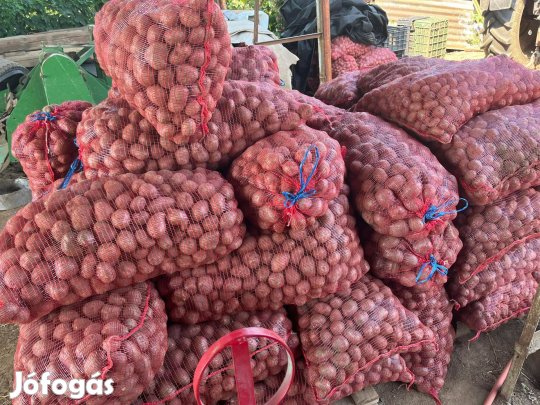 Vetőméretű burgonya