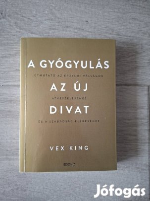 Vex King: A gyógyulás az új divat könyv 