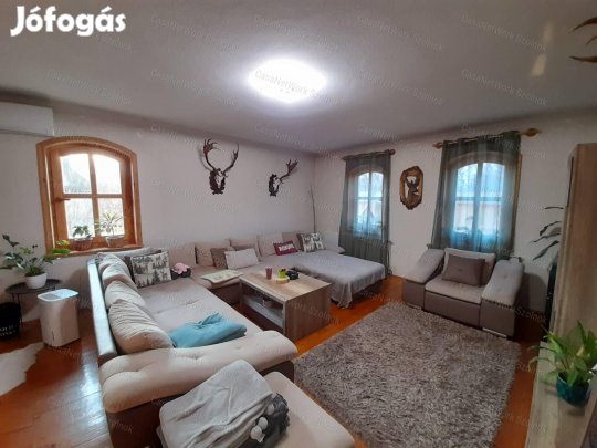 Vezsenyen Tisza -parti ház eladó!