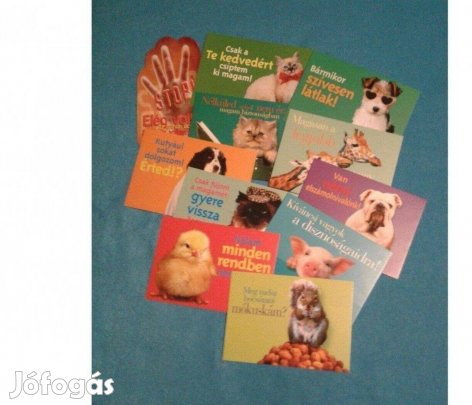 Vicces képeslap, meglepetés