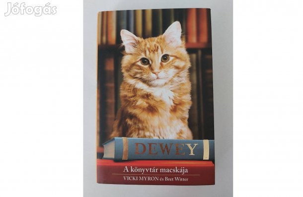Vicki Myron - Bret Witter: Dewey - A könyvtár macskája