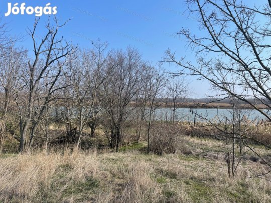 Vidéki terület több lehetőséggel!