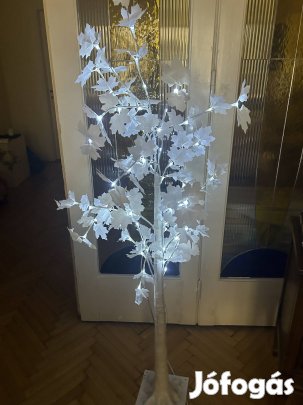 Világító szerencsét hozó pénz-és kívánságga