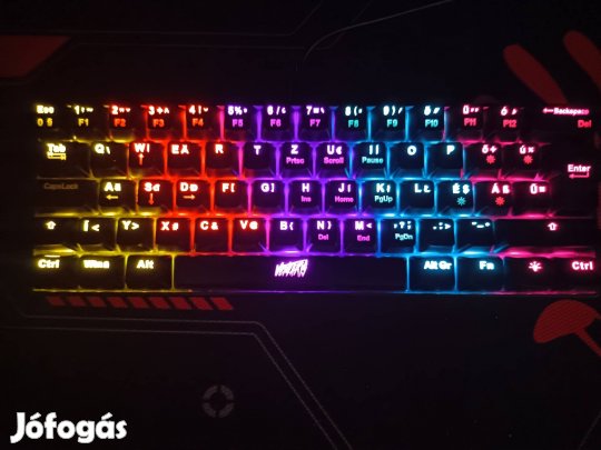 Világitos Billenyüzet 50%os