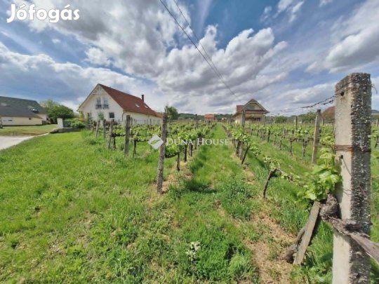 Villányi 1212 nm-es telek eladó