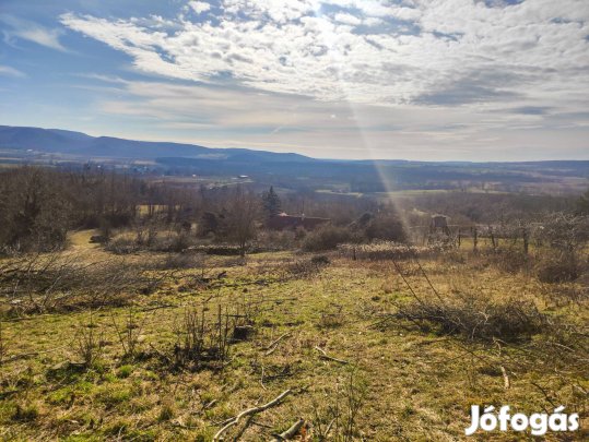 Vindornyalak szőlőhegy 6877 m2 zártkerti telek eladó