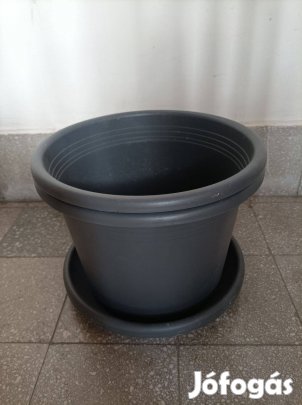 Virág kaspó eladó