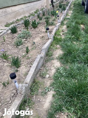 Virágos kert szegéj