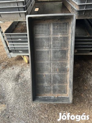 Virágos szaporító láda