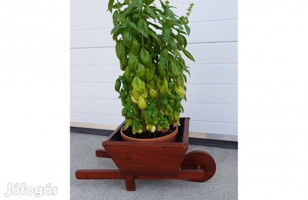 Virágtartó fa talicska