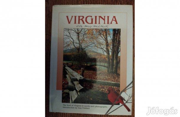 Virginia On My Mind Könyv