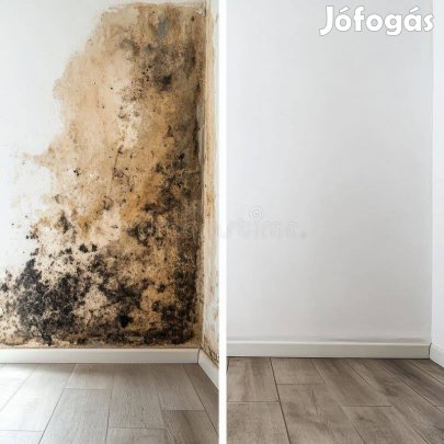 Visszatér a penész? - Itt a végleges megoldás