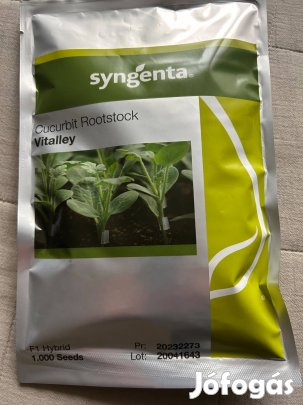 Vitalley tökmag eladó