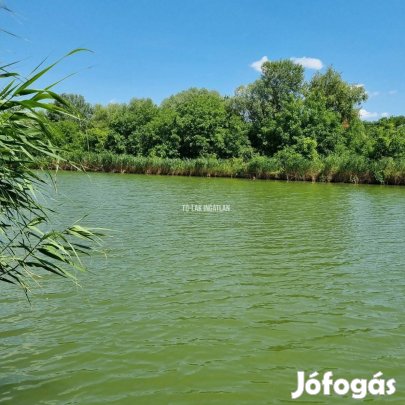 Vízparti nyaraló, ahol tényleg kikapcsolódhat