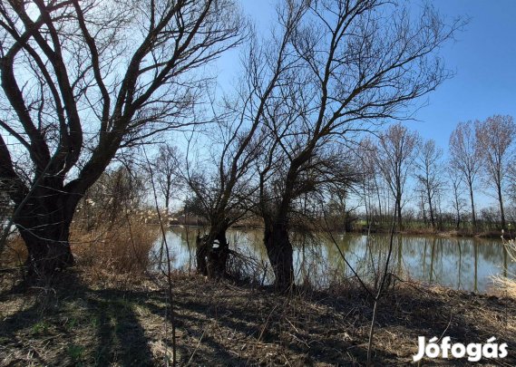 Vízparti telek a Holt-Körösön 33 méter saját parttal