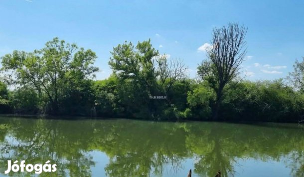 Vízparti telek a Holt-Körösön