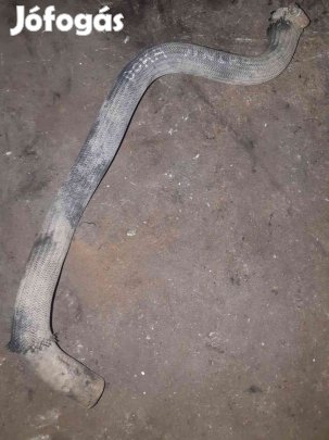 Volkswagen Transporter T4 91-03 Vízcső