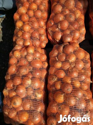 Vörös hagyma illetve Lila hagyma 