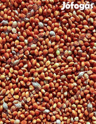 Vörös köles takarmány eladó Debrecenben