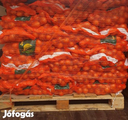 Vöröshagyma 10 kg -os kiszerelésben raklapon