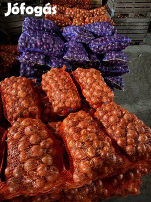 Vöröshagyma eladó
