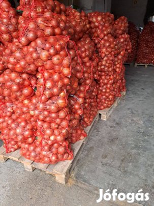 Vöröshagyma több méretben
