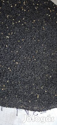 Vöröshagyma vető mag