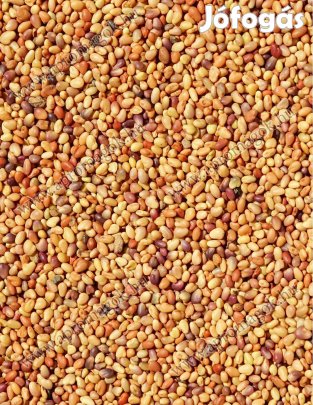 Vöröshere mag, Lóhere Mag Eladó Postai Utánvéttel