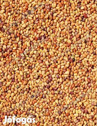 Vöröshere mag, lóhere mag fémzárolt eladó postai utánvéttel