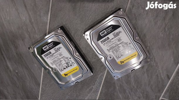 WD Enterprice 250GB SATA merevlemezek párban