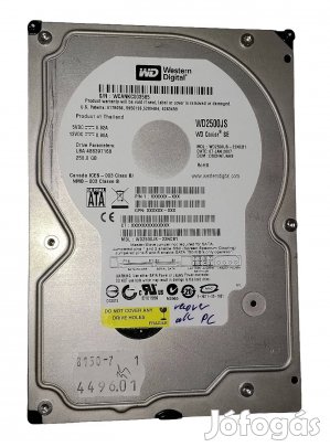 WD Western Digital 250GB HDD merevlemez SATA 3.5" 100/100 #3585