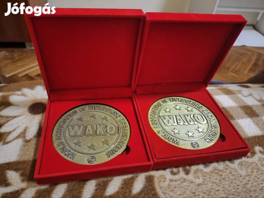 Wako kickboxing érme