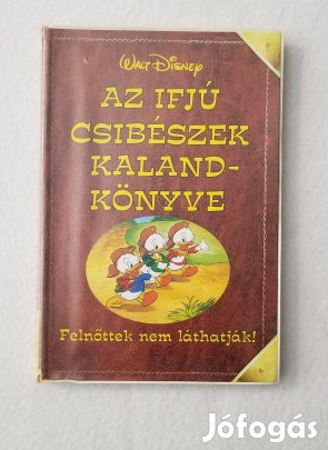 Walt Disney - Az ifjú csibészek kalandkönyve 2