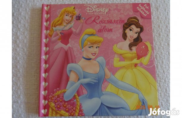 Walt Disney - Rózsaszín Álom (Hercegnők)- mesekönyv felhajtható fülekk