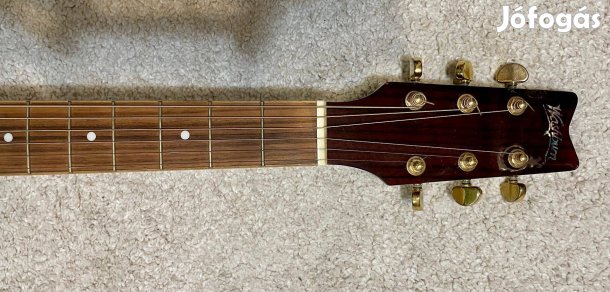 Washburn D-10SDL akusztikus gitár, USA