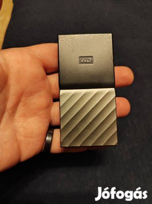 Wd my passport ssd 256 gb