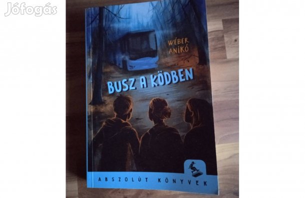 Wéber Anikó: Busz a ködben