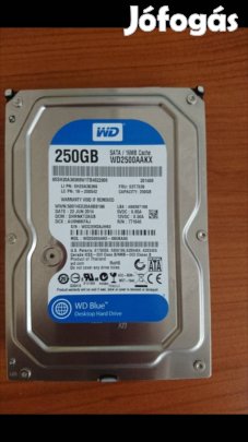Western Digital Caviar Blue 250GB HDD