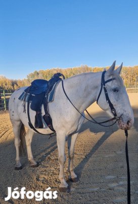 Western felszerelés, nyereg