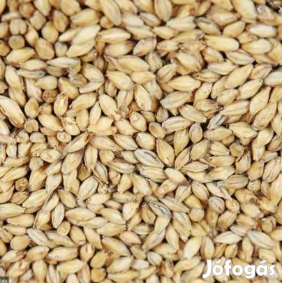 Weyermann Extra Prémium Pilsner maláta 2 EBC 10dkg (1723)