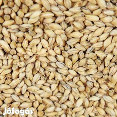 Weyermann PALE ALE  Árpamaláta 10 dkg     (1728)