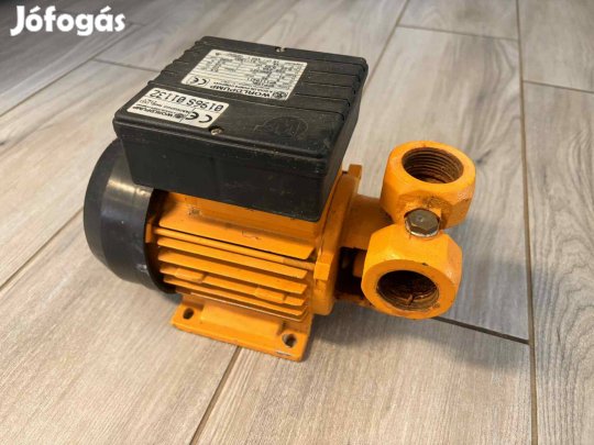 Worldpump Italy ( Pedrollo group ) Szivattyú