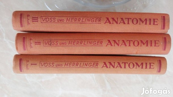 Woss und Herrlinger Anatomie I-III Antikvár orvosi szakkönyv