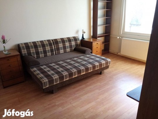 XIII. kerületi Dunaparti lakás egyik szobája kiadó