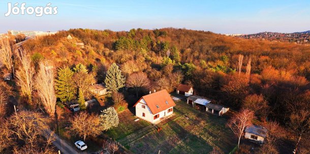 XI. Budaörsi út, családi ház zöldövezetben, egy lakás áráért