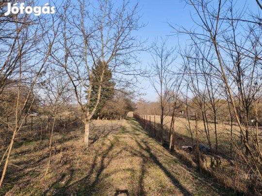 XVI. Kerület, Cinkota, 828 m2-es, telek